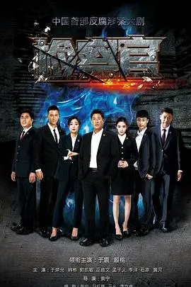 正义与人性的较量：《人民检察官》揭秘检察生涯的真实与感动