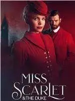 阳光下的罪恶：《天堂岛疑云 第十三季》回归！加勒比海度假胜地再掀波澜，全新谜案等你来解！